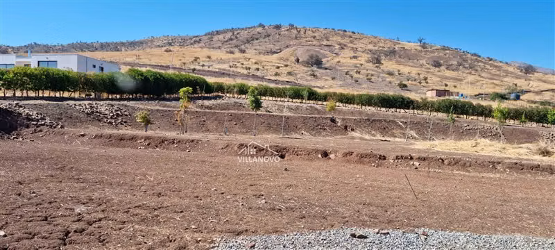 Terreno Construccion en Venta en Colina - Imagen 9