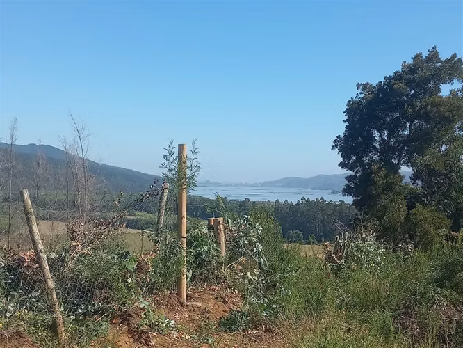 Parcela en Venta en Coronel