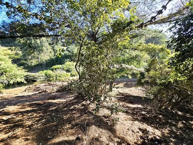 Terreno Construccion  en Venta en Tomé