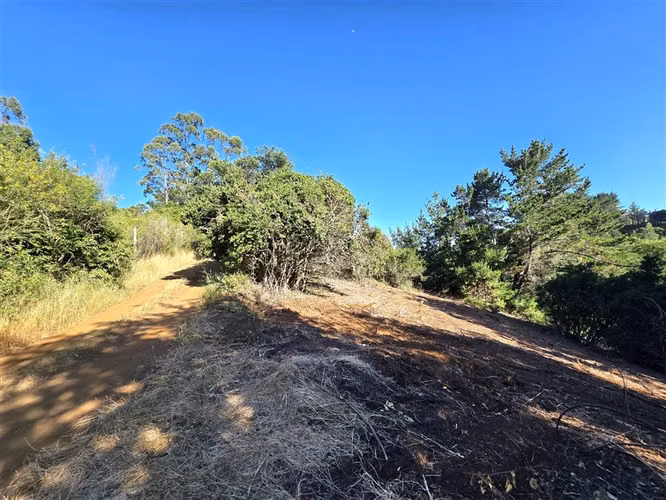 Terreno Construccion  en Venta en Tomé
