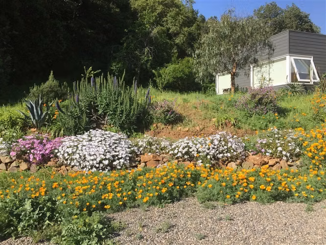 Parcela agrohabitacional en venta en Olmué