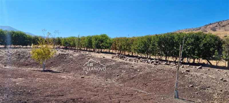 Parcela en venta en Colina