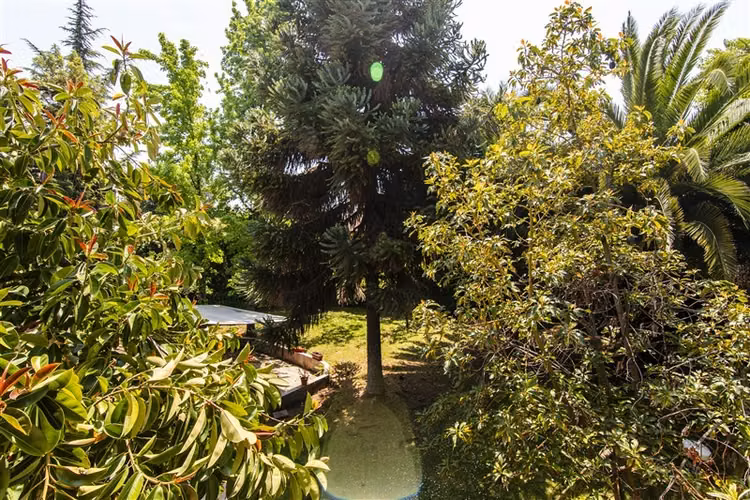 CASA EN VENTA EN LA REINA ALTA ! VISTA VERDE, BUEN BARRIO !.
