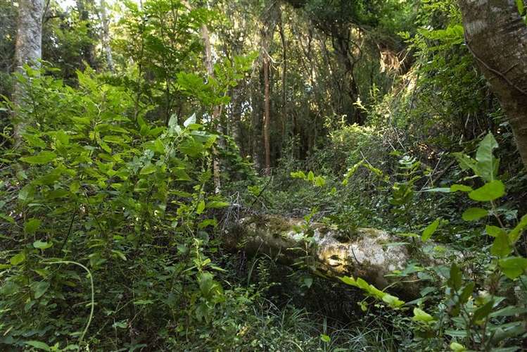 Rilan - Tey, Estupenda casa en venta de 6 dorm. Castro