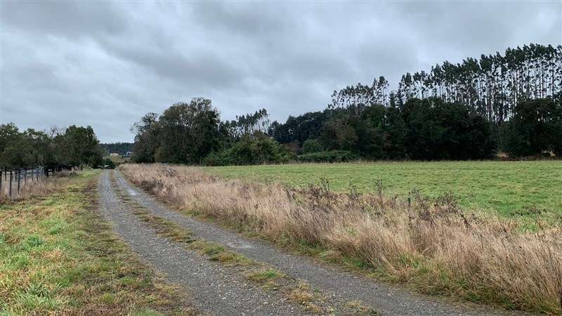 Parcela en Venta en Puerto Varas - Imagen 13