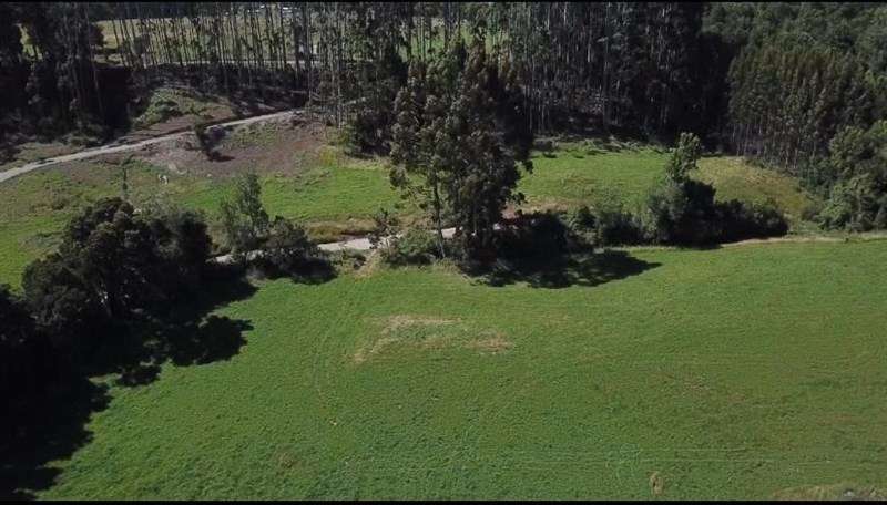 Parcela en Venta en Puerto Varas - Imagen 2