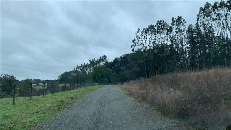 Parcela en Venta en Puerto Varas - Imagen 12
