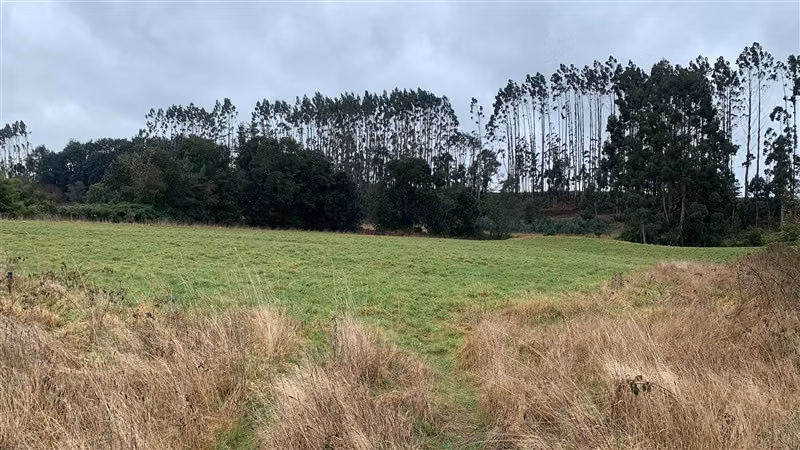 Parcela en Venta en Puerto Varas