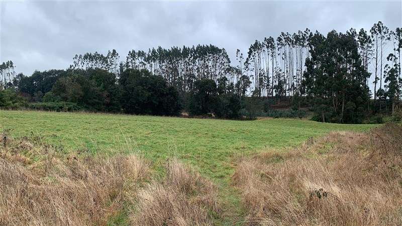 Parcela en Venta en Puerto Varas - Imagen 9