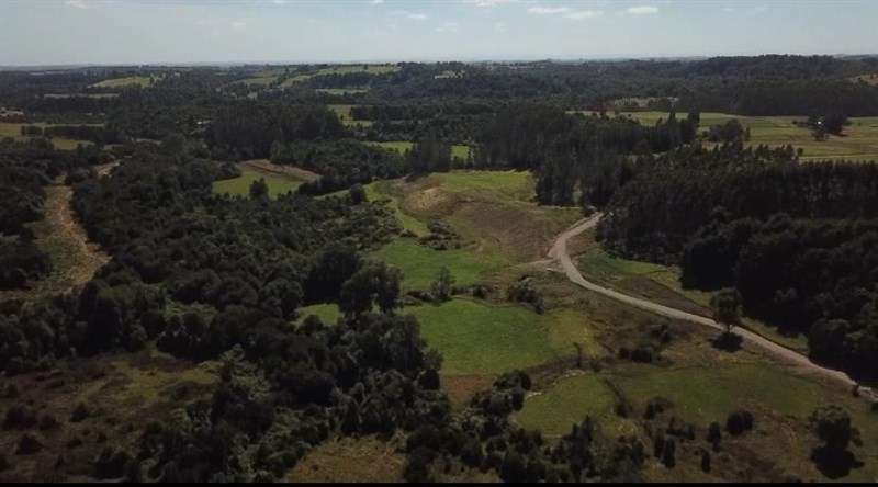 Parcela en Venta en Puerto Varas - Imagen 19
