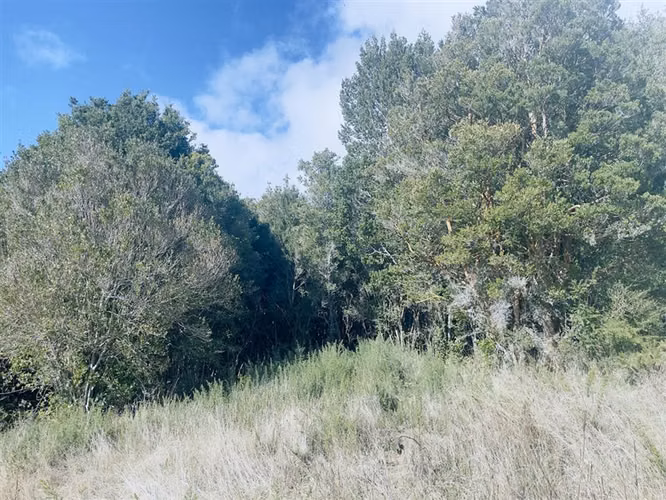 Agrícola en venta en Castro
