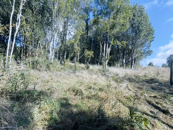 Agrícola en venta en Castro