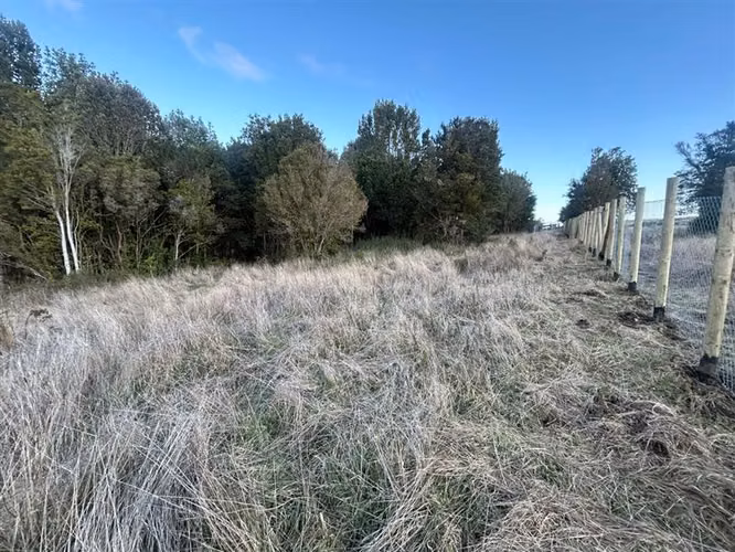 Agrícola en venta en Castro