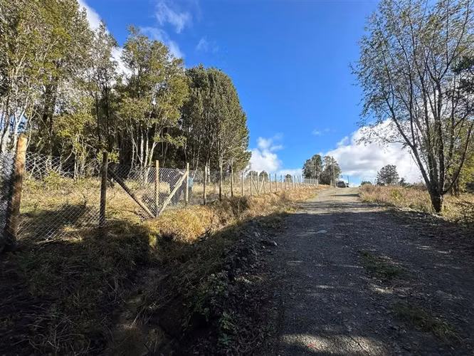 Agrícola en venta en Castro