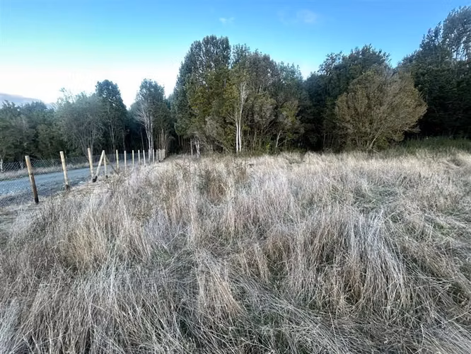 Agrícola en venta en Castro