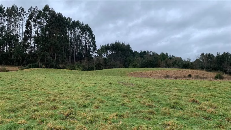 Venta de parcela en Exclusivo secto Terrazas de Puerto Varas