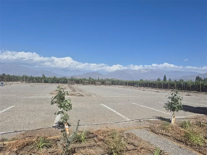 Sitio o local comercialen arriendo en Rinconada