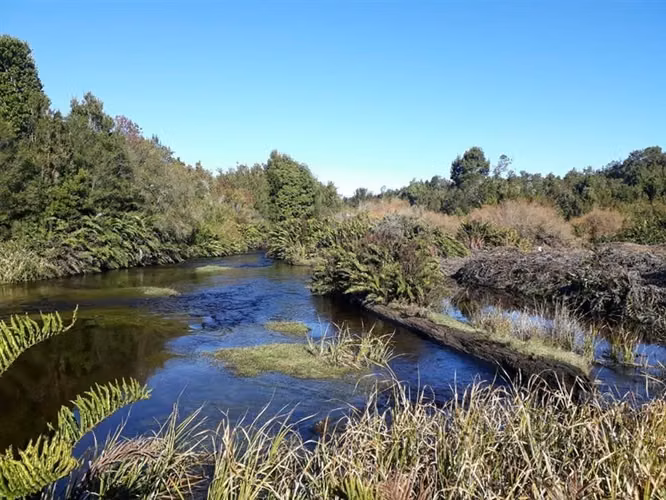 Parcela en venta Sector Los Pinis (15minutos) de Pto. Montt