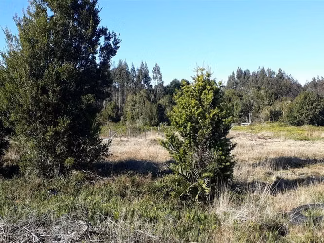 Parcela en venta Sector Los Pinis (15minutos) de Pto. Montt