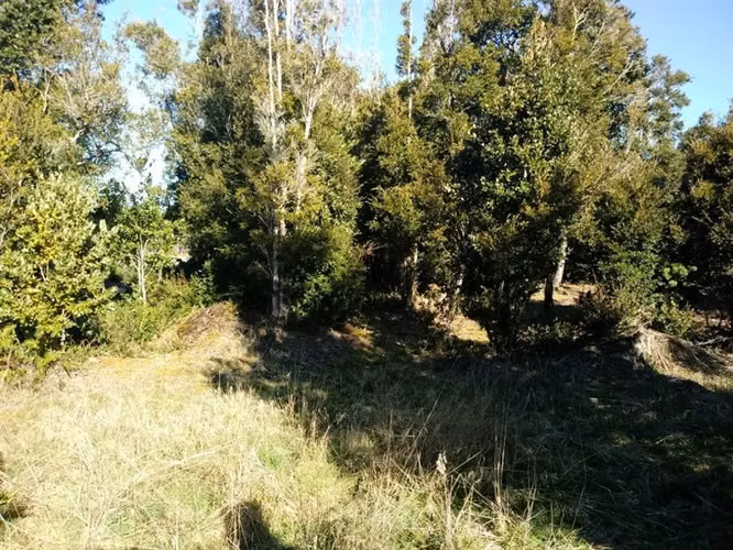 Parcela en venta Sector Los Pinis (15minutos) de Pto. Montt