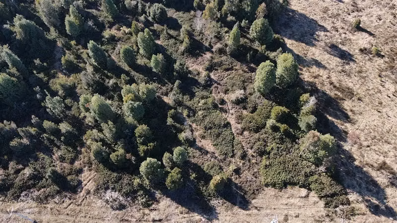 Hermosa Parcela en Hacienda Trapen de Puerto Montt en venta