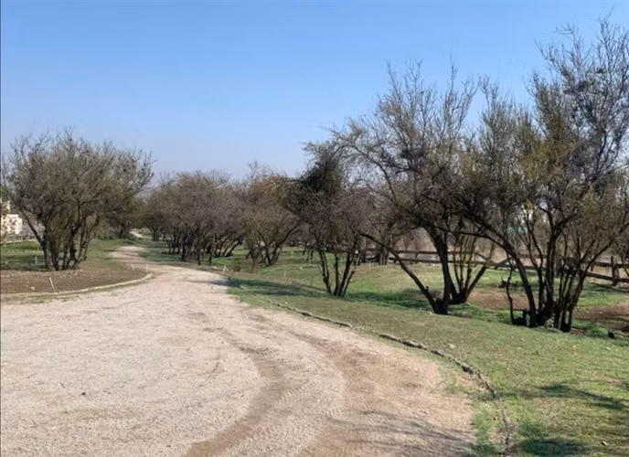 Sitio en venta en Colina. Condominio Las Brisas Chicureo - Imagen 4