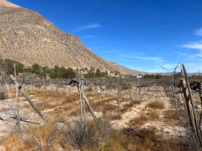 Venta terreno sector Andacollito- Comuna de Vicuña