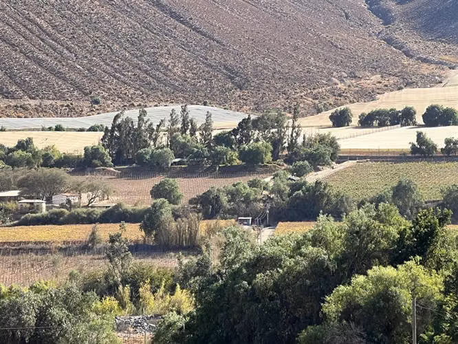 Venta terreno sector Andacollito- Comuna de Vicuña
