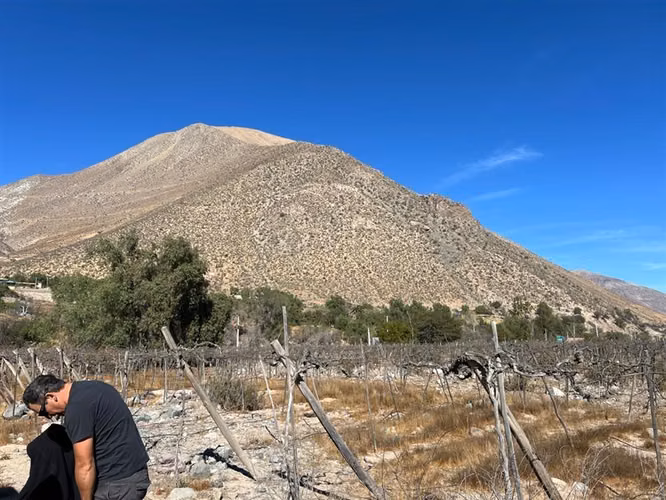 Venta terreno sector Andacollito- Comuna de Vicuña