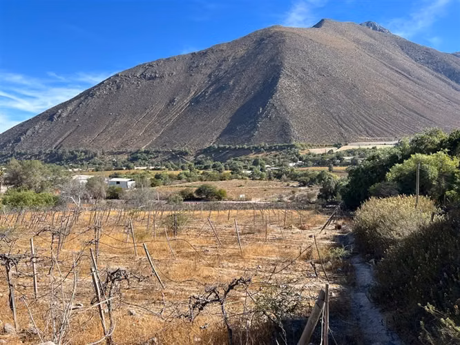Venta terreno sector Andacollito- Comuna de Vicuña