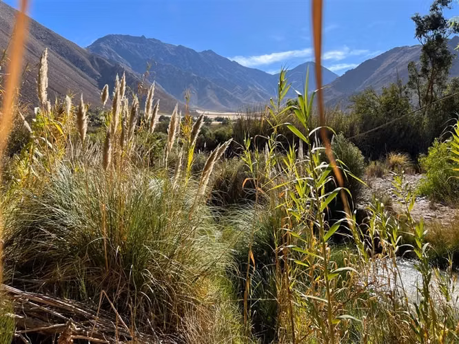 Venta terreno sector Andacollito- Comuna de Vicuña
