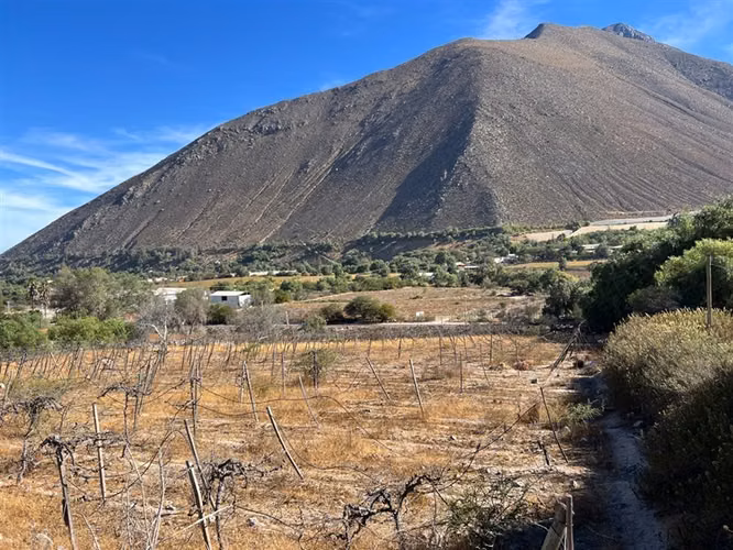 Venta terreno sector Andacollito- Comuna de Vicuña