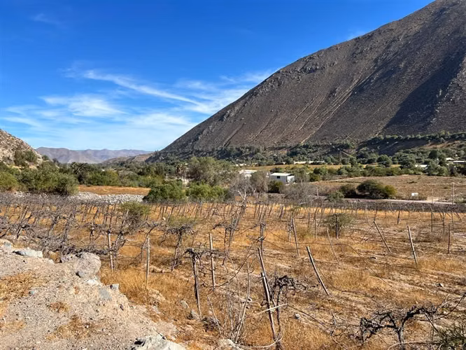 Venta terreno sector Andacollito- Comuna de Vicuña