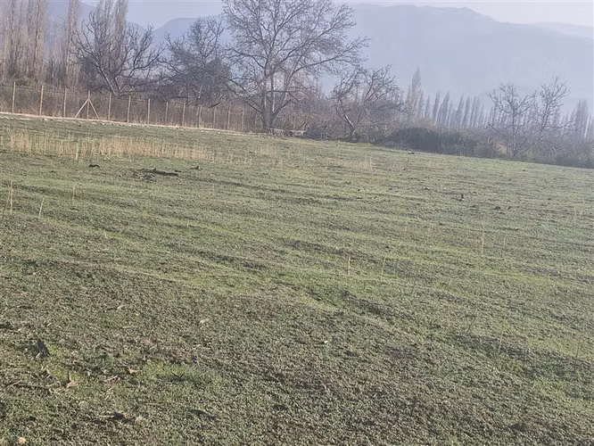 Parcela en venta en Rinconada totalmente urbanizada luz agua