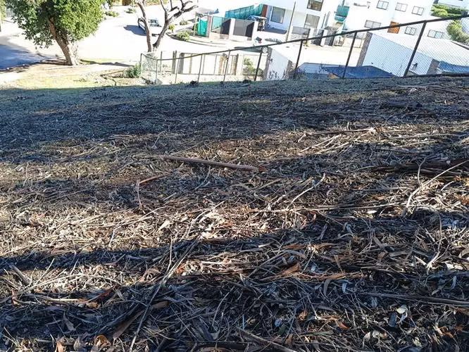 Terreno Construccion  en Venta en Papudo