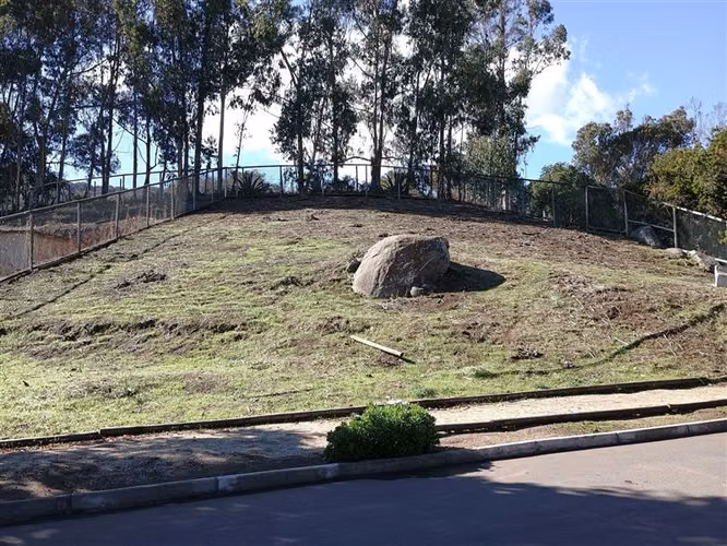 Terreno Construccion  en Venta en Papudo