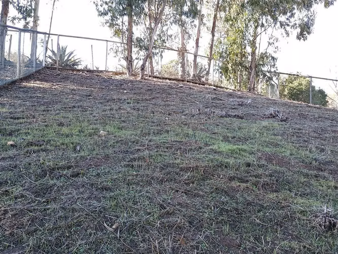Terreno Construccion  en Venta en Papudo