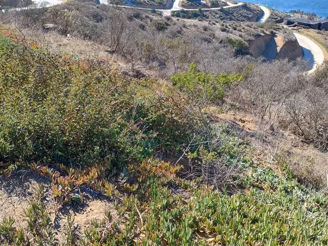 Sitio insuperable vista al océano y bahía de Papudo - Imagen 3