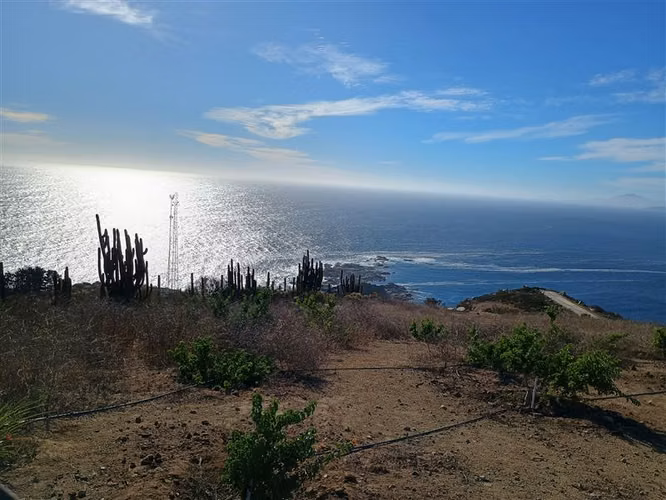 Sitio insuperable vista al océano y bahía de Papudo - Imagen 9