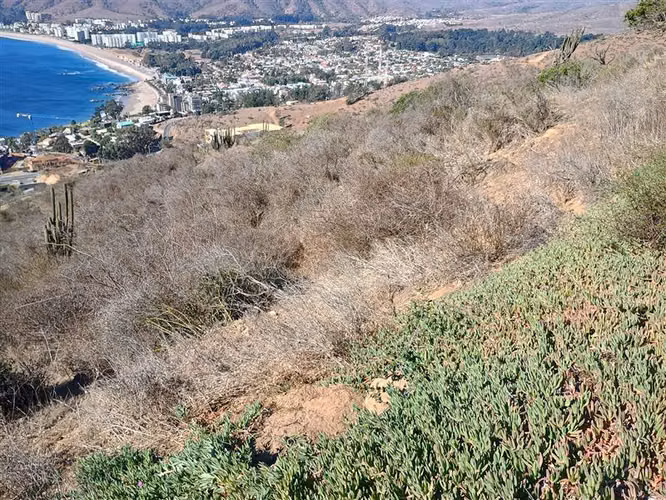 Sitio insuperable vista al océano y bahía de Papudo - Imagen 4