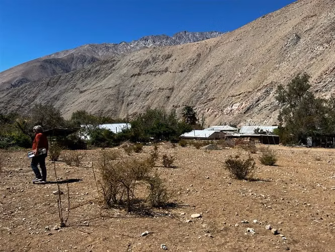 Imperdible terreno 10100 metros cerca de Pisco Elqui - Imagen 16