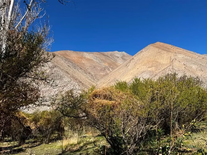 Imperdible terreno 10100 metros cerca de Pisco Elqui - Imagen 3