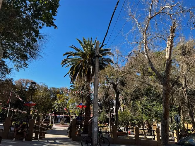 Imperdible terreno 10100 metros cerca de Pisco Elqui - Imagen 10