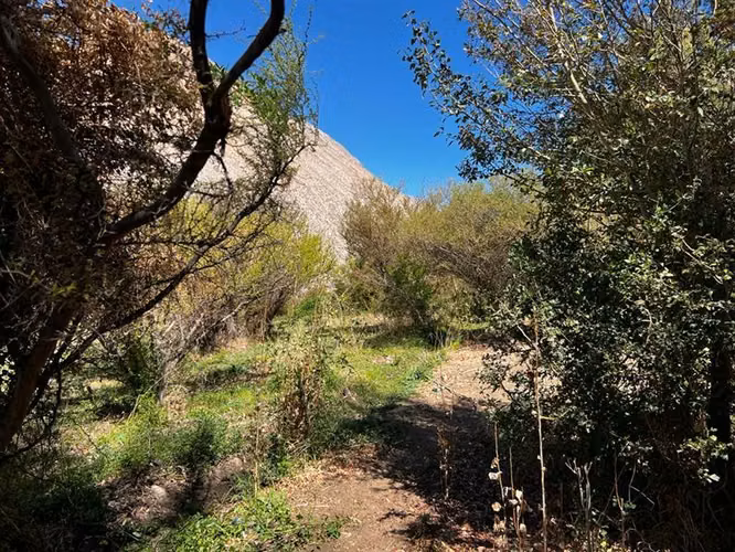 Imperdible terreno 10100 metros cerca de Pisco Elqui - Imagen 2