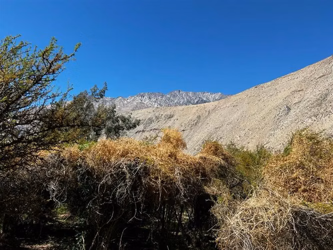 Imperdible terreno 10100 metros cerca de Pisco Elqui - Imagen 4