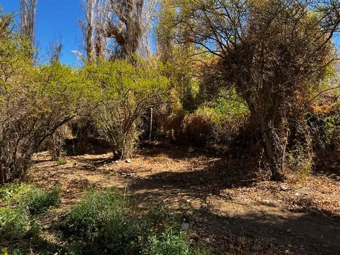 Imperdible terreno 10100 metros cerca de Pisco Elqui