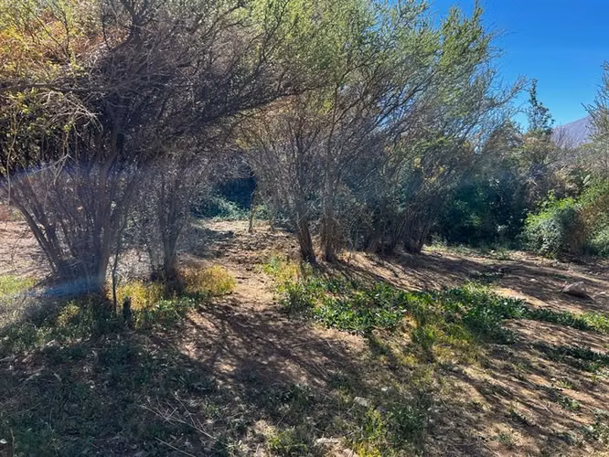 Imperdible terreno 10100 metros cerca de Pisco Elqui - Imagen 19