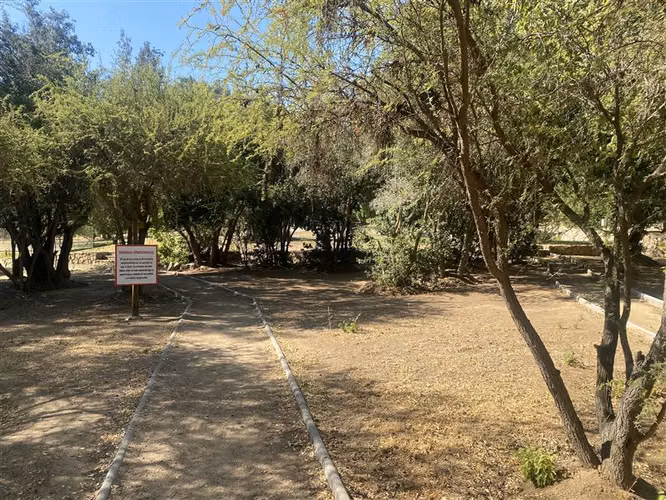 Parcela en venta 5.005 M2 en Paine - Imagen 10