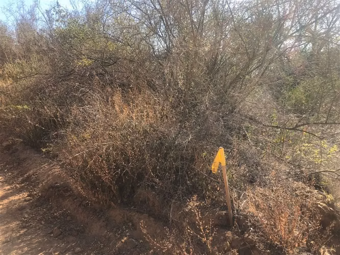 Parcela en venta 5.005 M2 en Paine - Imagen 14