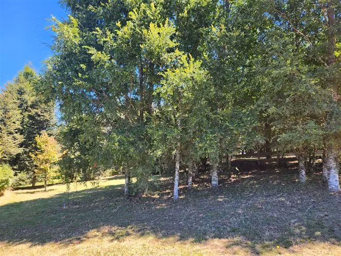Casa en venta de 5 dorm. en Villarrica - Imagen 18